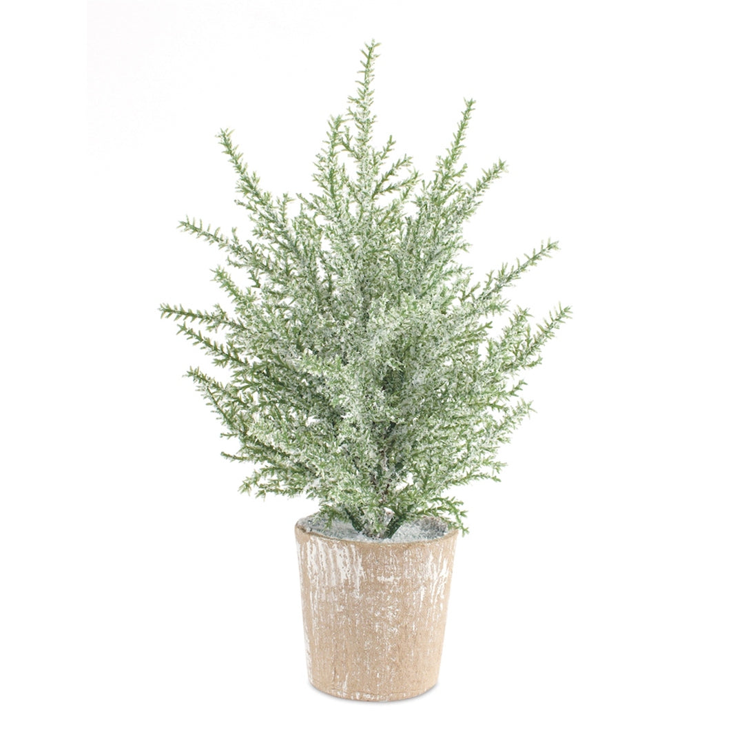 Icy Winter Potted Tree 12"H, Set of 6