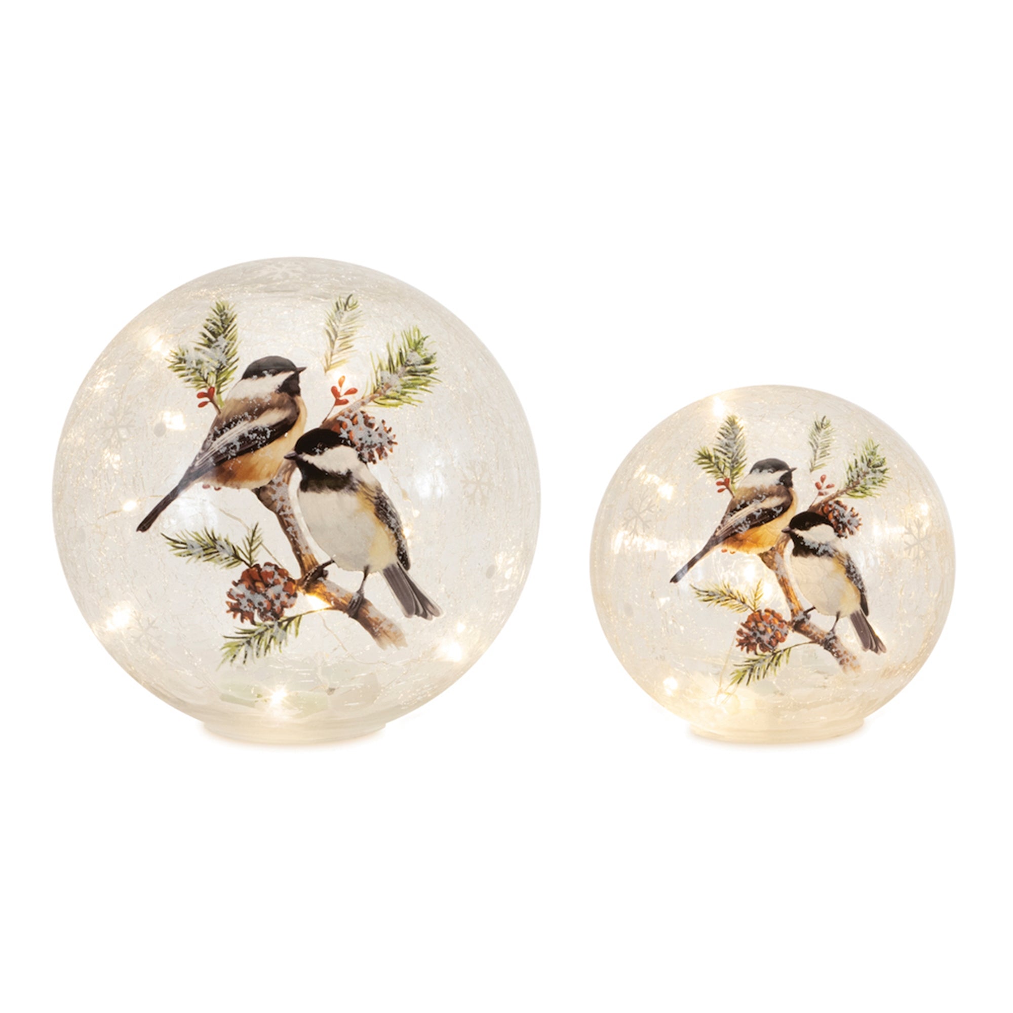 LED Frosted Birds and Pine Branch Globes (Set of 2)