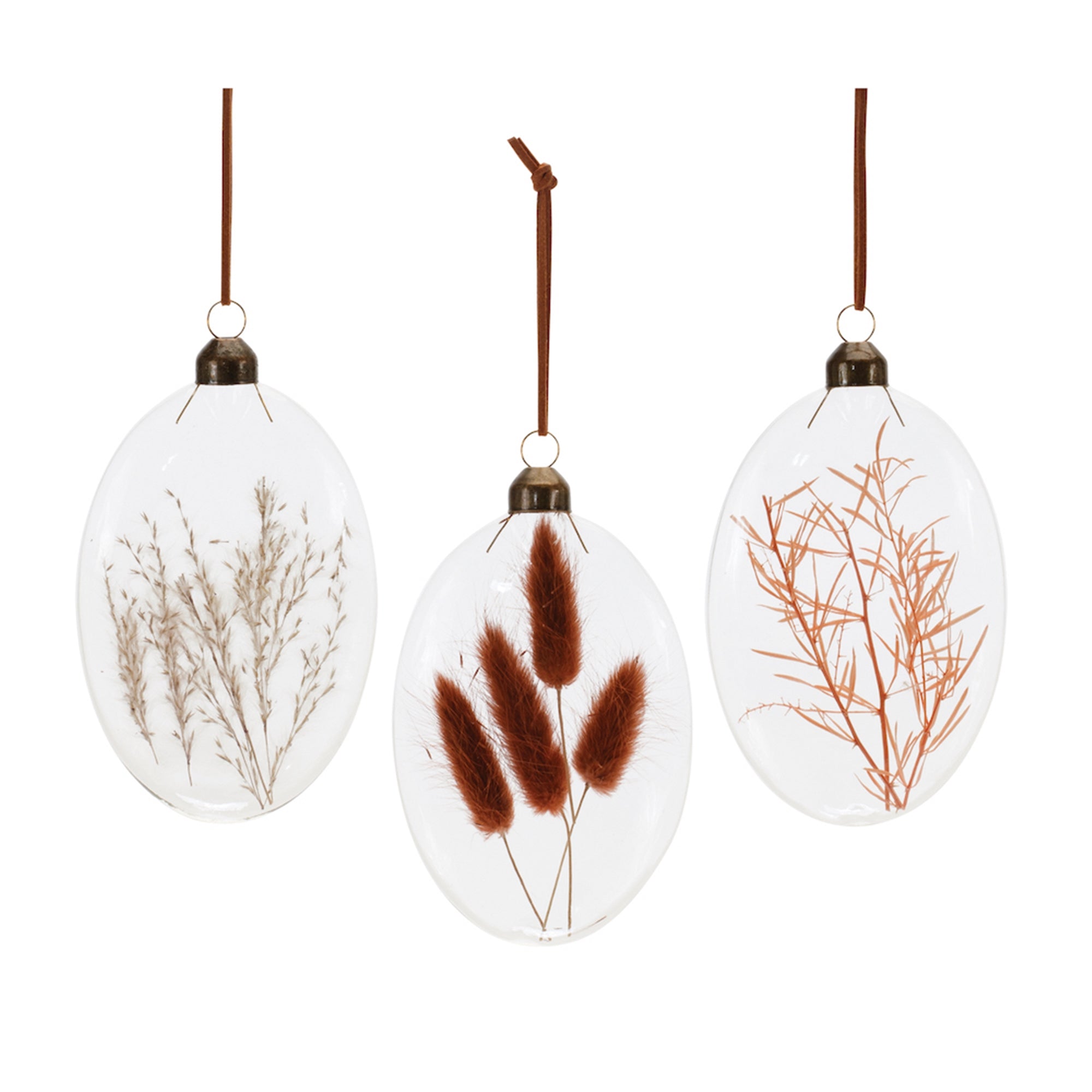 Burgandy Dried Floral Glass Ornament (Set of 12)