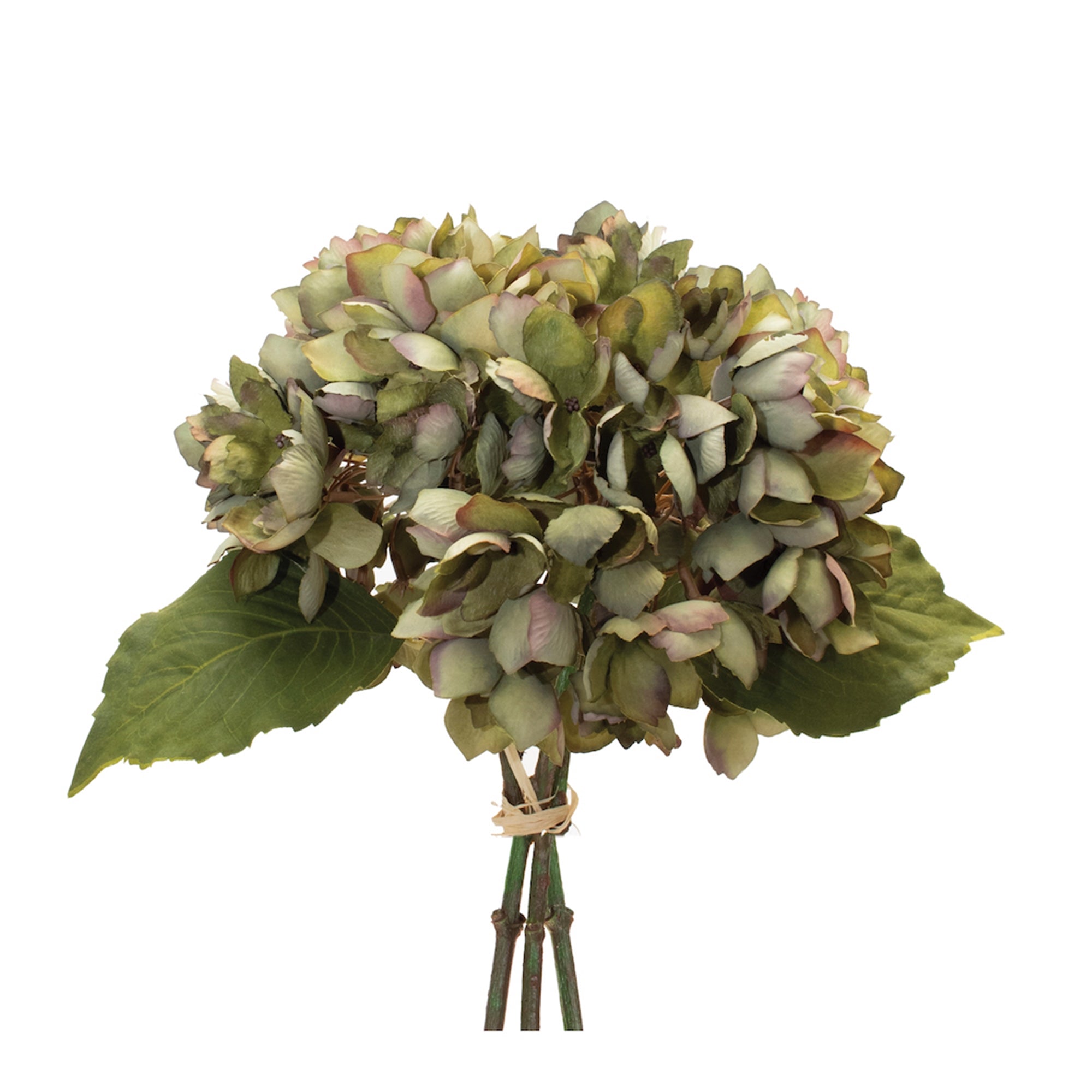 Green Hydranga Flower Bundle (Set of 2)