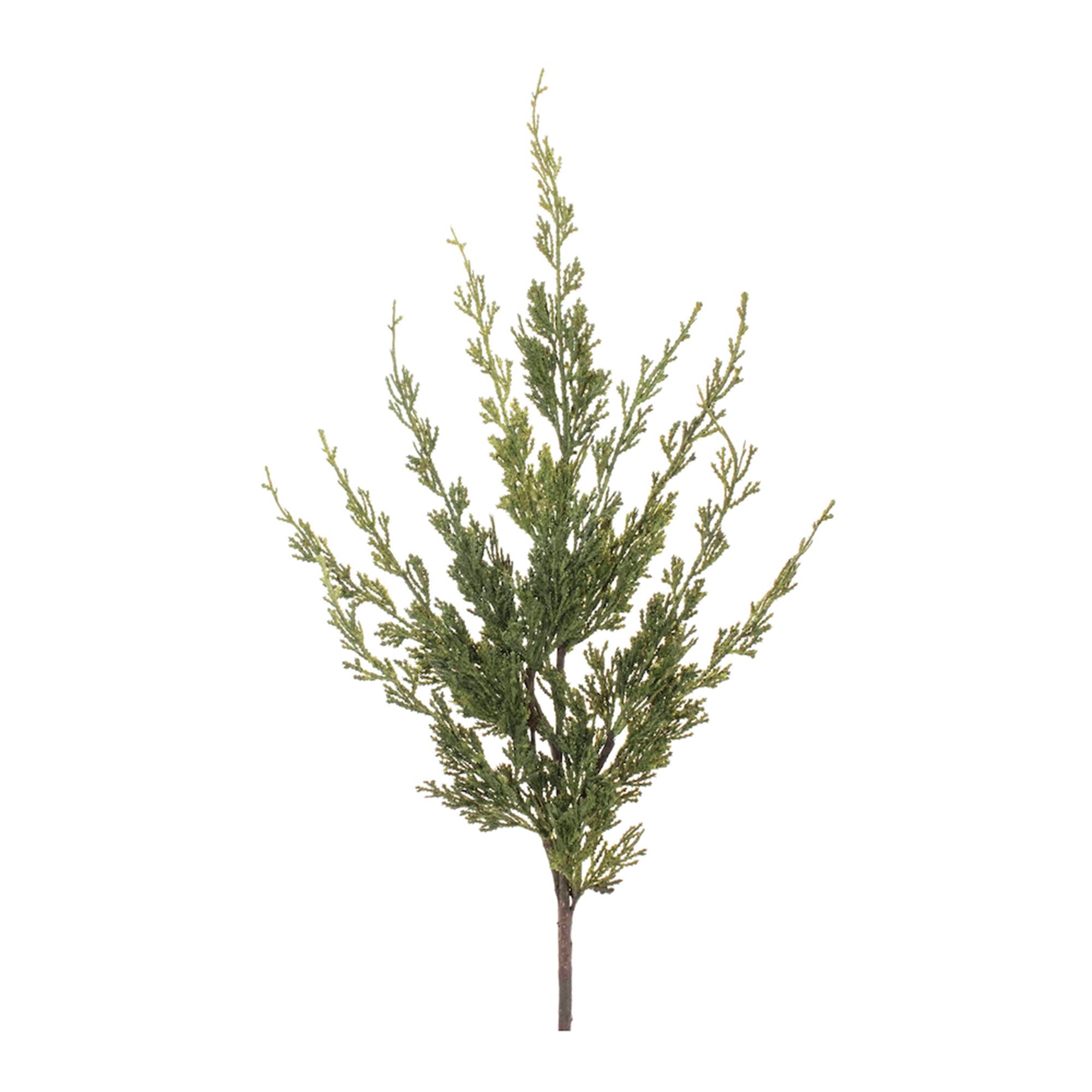 Variegated Pine Spray (Set of 6)