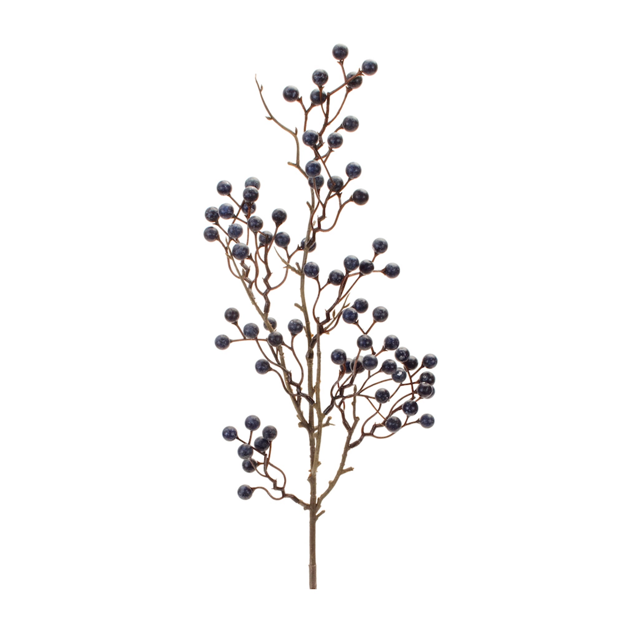 Blue Berry Twig Branch (Set of 6)