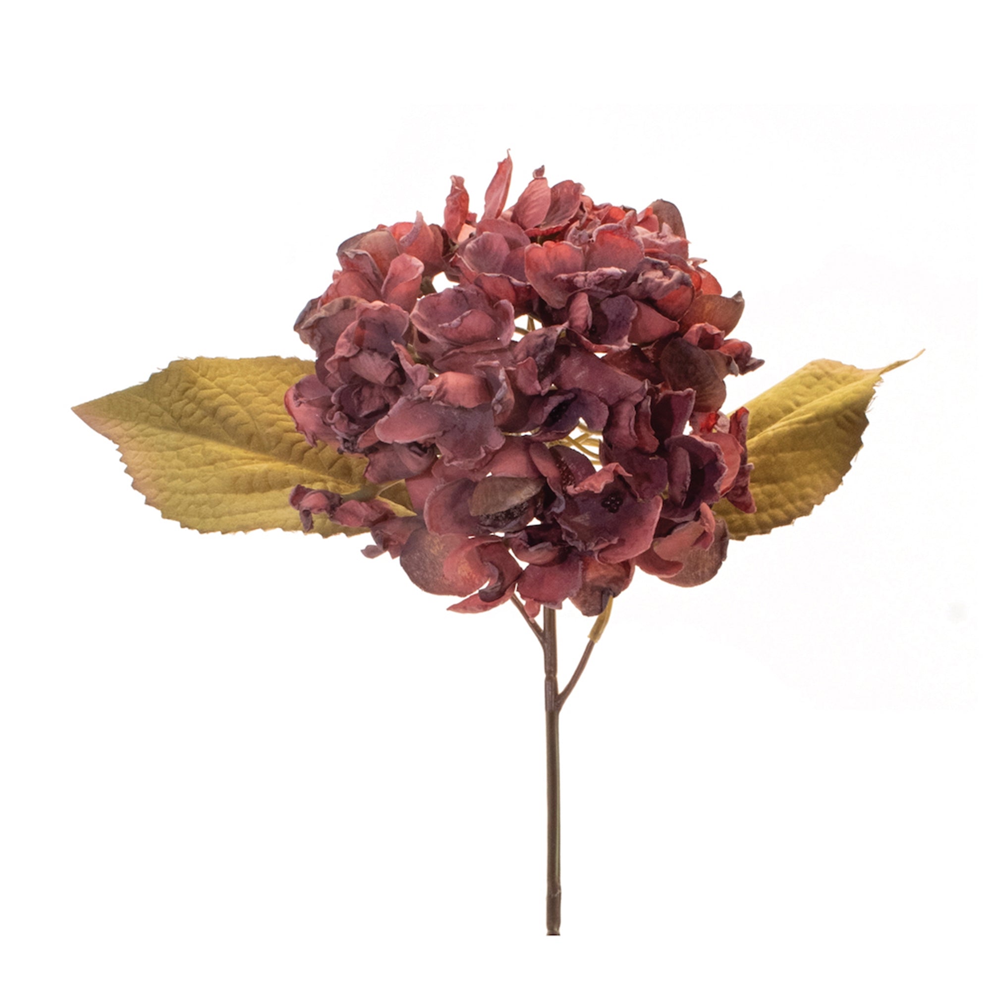 Burgandy Harvest Hydrangea Stem (Set of 6)