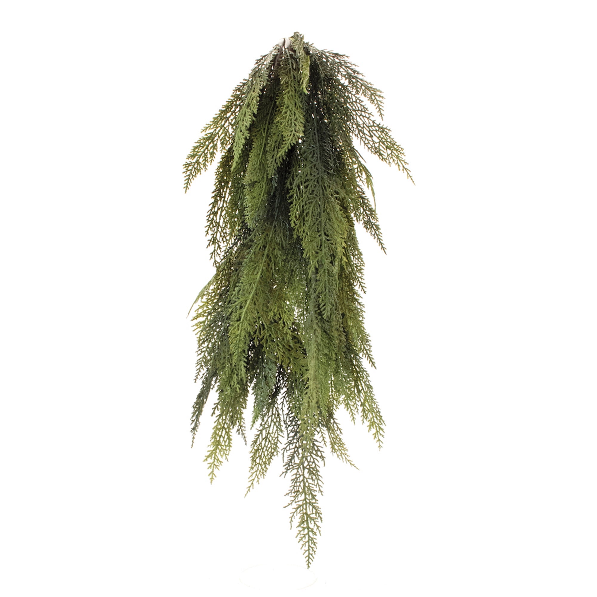 Variegated Pine Swag (Set of 2)