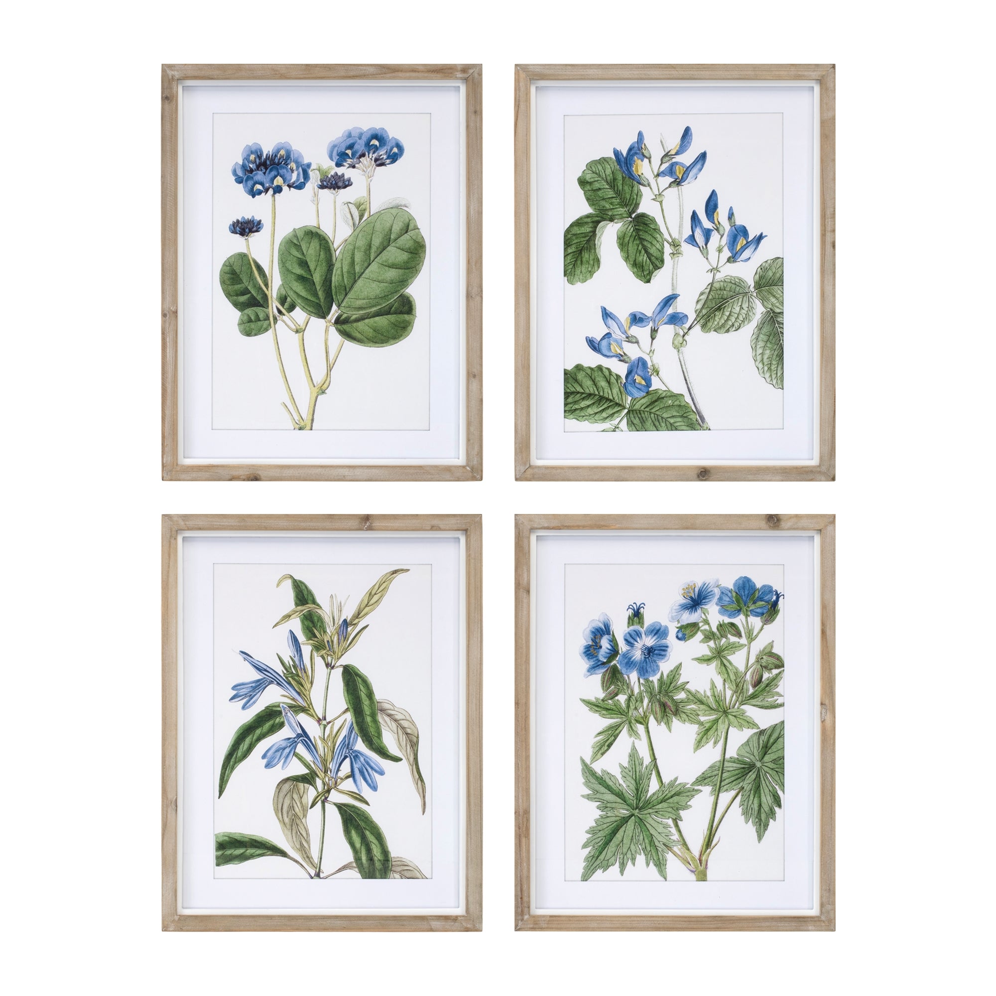 Wood Framed Floral Print (Set of 4)
