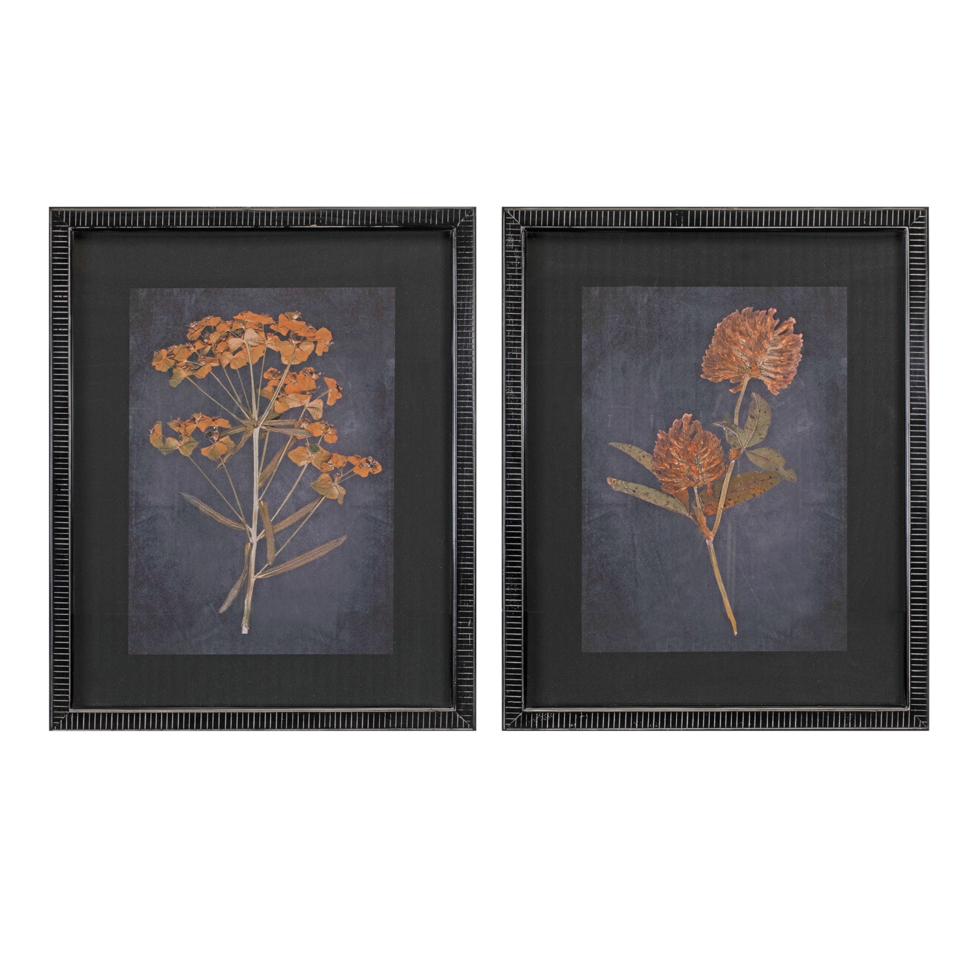 Wood Framed Botanical Print (Set of 2)