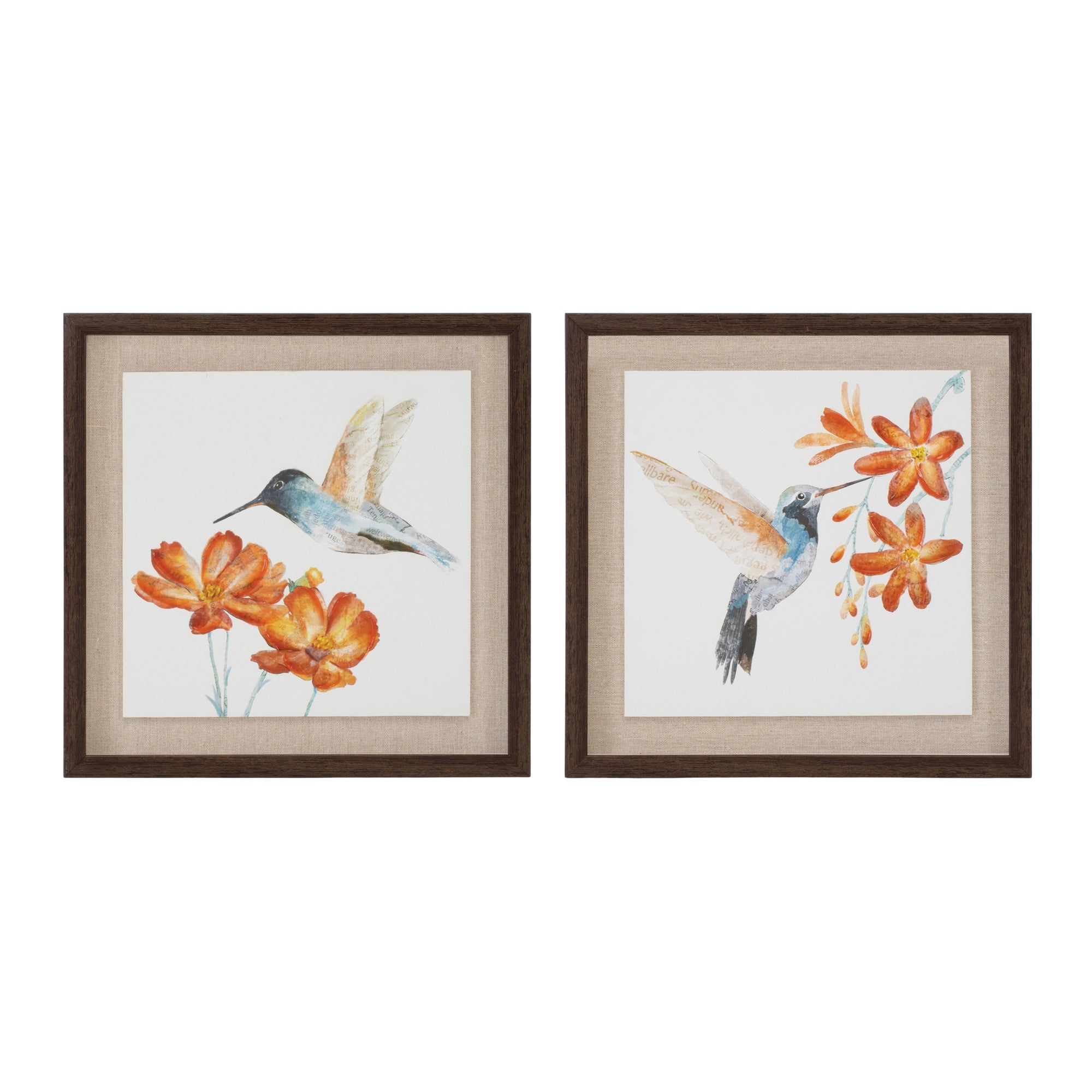 Framed Hummingbird Floral Print (Set of 2)