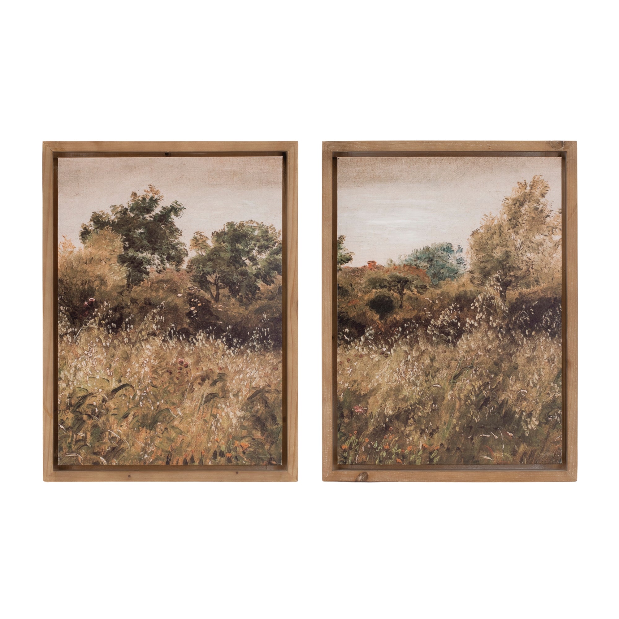 Framed Landscape Canvas Art (Set of 2)