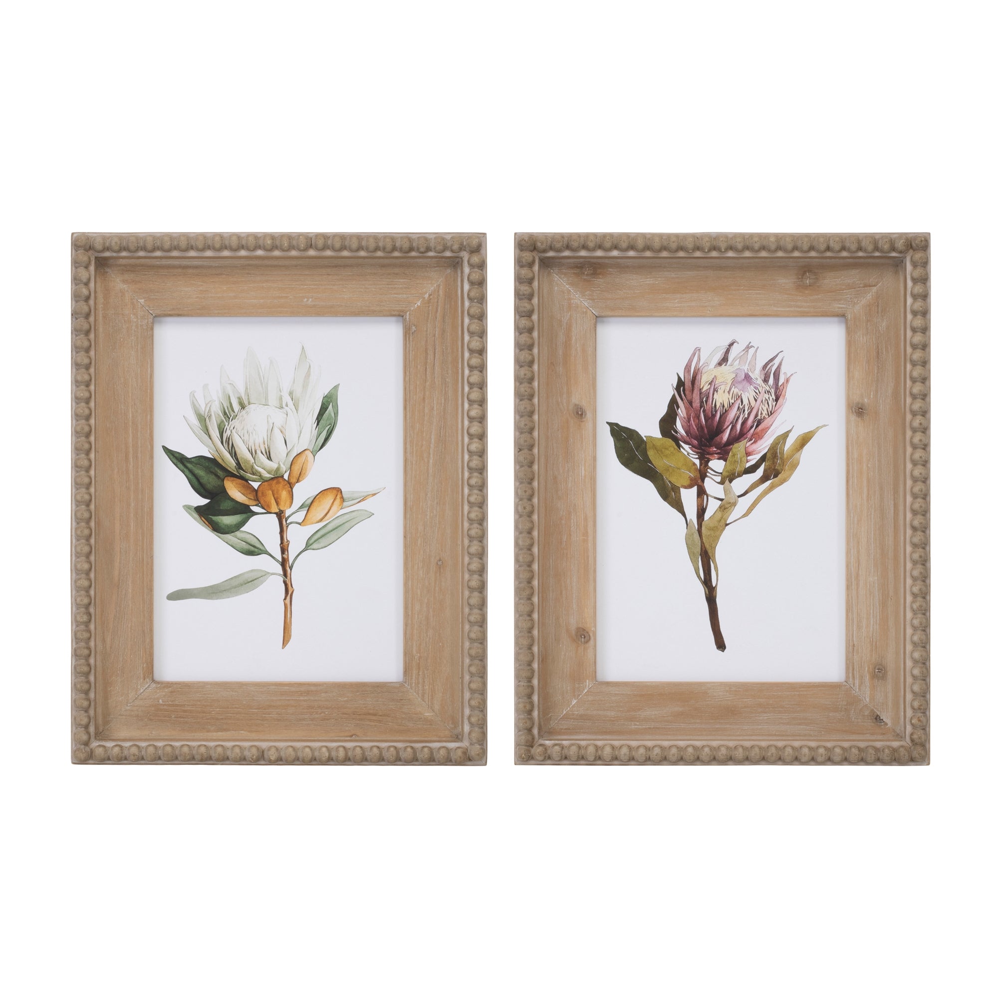 Wood Framed Protea Floral Print (Set of 2)