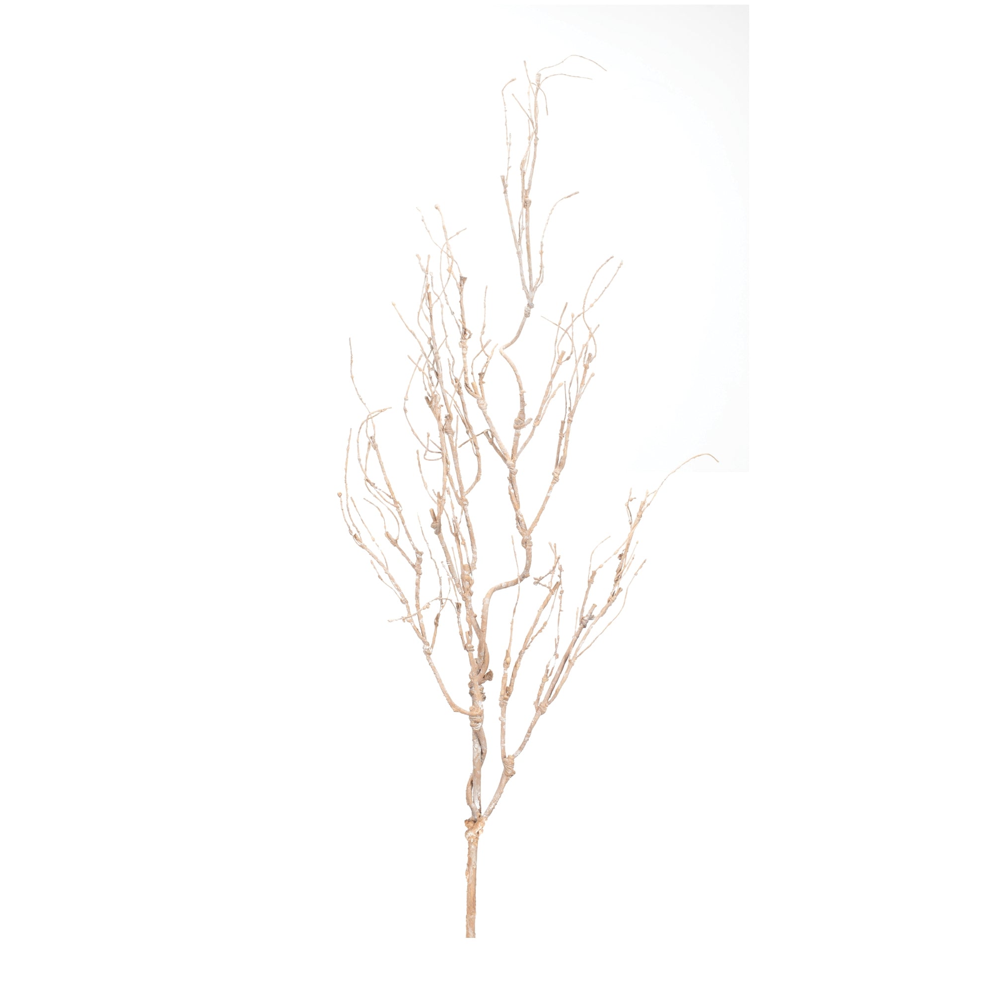 Beige Twig Branch (Set of 6)