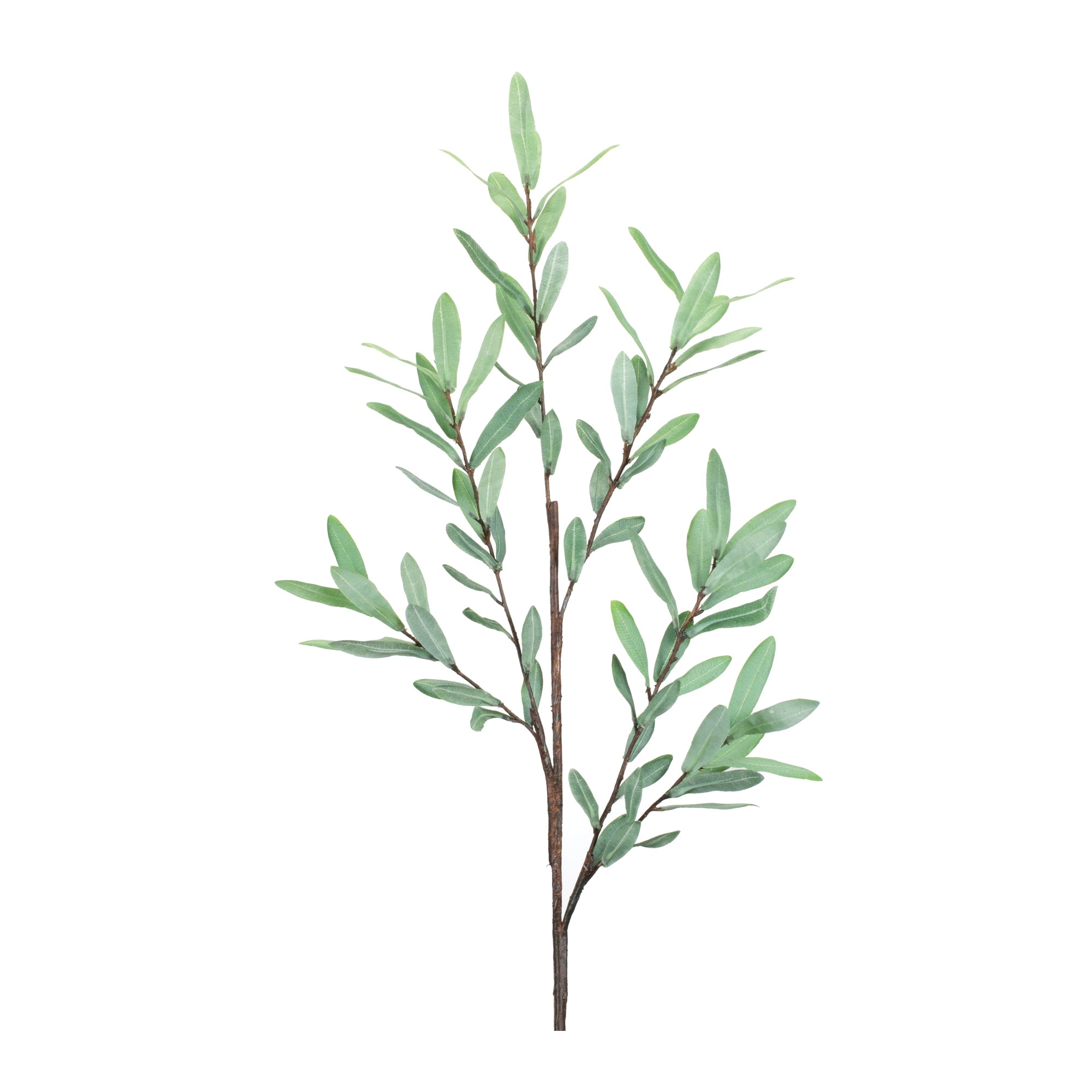 Olive Leaf Twig Branch (Set of 2)