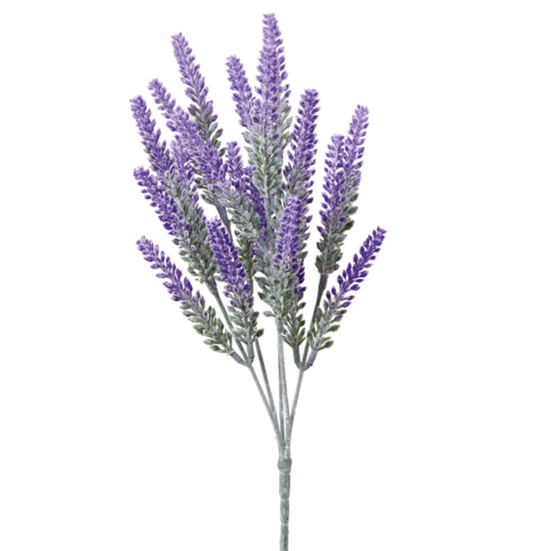 Lavender Bush, Set of 2